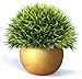 Vangold Lifelike Artificial Plants Plastic Grass Plants with Pots for Christmas Home/Office Decor (1pcs)