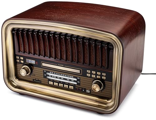 SoundBeast All-in-One AM/FM Radio with CD Player, Bluetooth Input, USB Playback & Recording, SD Card Playback, Aux Input, Built-in Speakers, Handmade Wooden Exterior