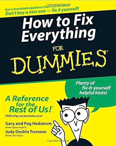 Download How to Fix Everything For Dummies PDF