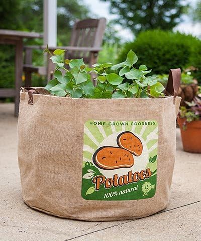 Grow Bag,30 Gal Burlap Potato