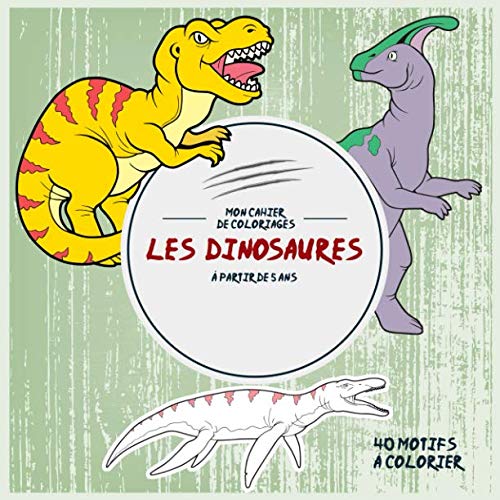 Les Dinosaures: Mon cahier de coloriages: 40 Motifs à colorier - à partir de 5 ans (Activités pou by Vit Hansen