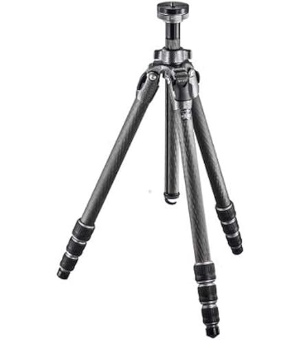 Amazon.com : Gitzo GK2542-82QD Series 2 Mountaineer Carbon Fiber