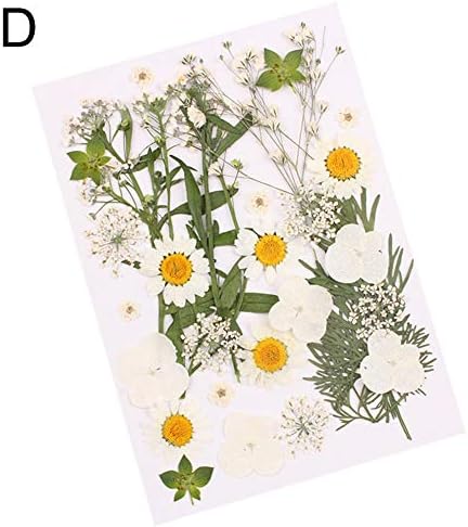 HEART SPEAKER DIY Art Handicraft Pressed Mixed Organic Natural Dried Flowers Gift Decoration - D