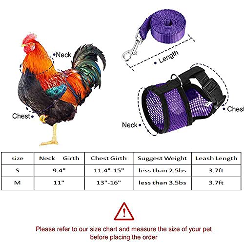 Verstellbares Hühner-Geschirr mit Leine, elastisch, bequem, atmungsaktiv, Haustiergeschirr für Ente, Gans, Henne Traning… – Bild 3