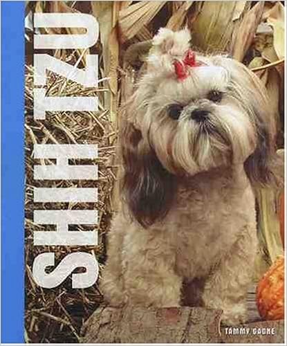 Shih Tzu �n�[�h�J�o�[  - 2007/11/1