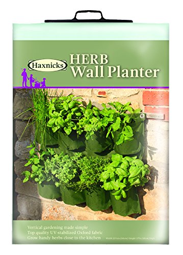 Tierra Garden 50-1070 Haxnicks Herb Wall Planter