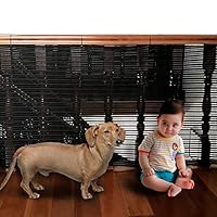 Stephen Wu Children Safety Rail Balcony Stairs Safety Net Banister Stair Net for Kids/Pet/Toy Safety on Indoor/Outdoor Stairs, Balcony, or Patios, 9.8 x 2.5 ft (Balck)