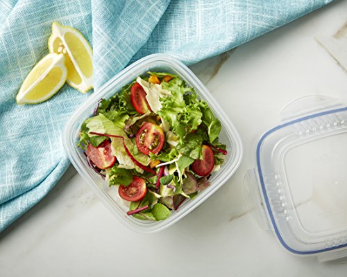 LOCK&LOCK HSM8440T Lock & Lock 32-Oz. Food Plastic Storage Container, 32 Ounce, Clear