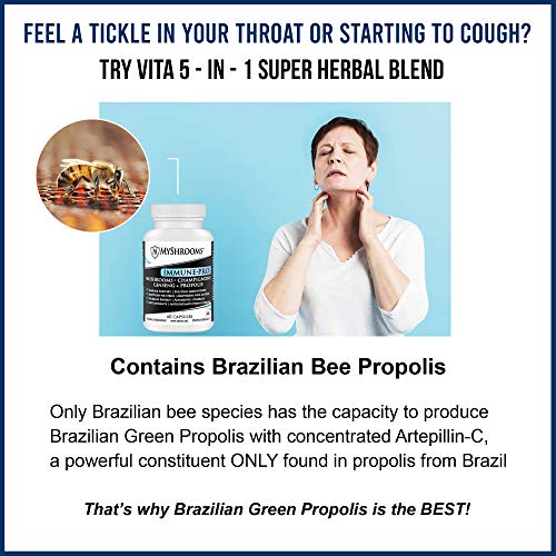 MUDWTR Starter Kit - 30 Servings of Mushroom Complex Coffee & Drink Mix ...