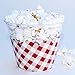 Red Checkered Cupcake Wrappers, Vintage Baby Blue Gingham, Picnic Red Checked, Confetti Couture Party Supplies, 36 Wraps