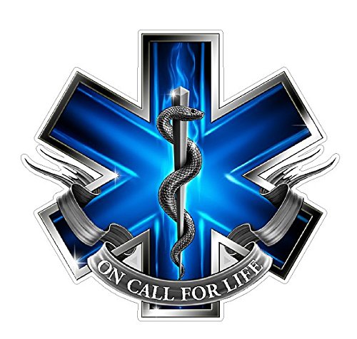 EMS Logo (Z2) Blue Flames Vinyl Decal Sticker