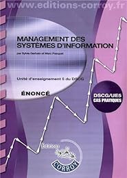 Management des systèmes d'information