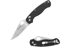 Ganzo G729-BK Folding Pocket Knife, 440C Stainless Steel Blade, Ergonomic G10 Non-Slip Handle with Clip, Hunting, Fishing, Camping, Folder, Axis Lock, Outdoor EDC Knife (Black)