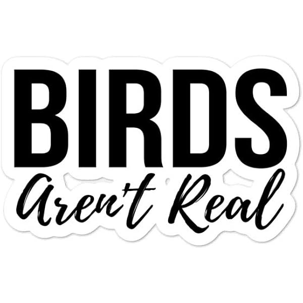 Amazon Com Deal Zillas Birds Aren T Real Funny Meme Sticker Deal Zillas Home Kitchen