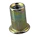 BQLZR Flat Head Galvanization M6 Insert Rivet Nut Golden Pack of 50