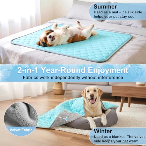 Vivifying Couverture rafraîchissante pour Chien 152 x 101 cm, Tapis réversible en Soie glacée avec Dos en Peluche Douce, Couverture d’été pour canapé, lit, Cage, Sol et Voyage (Bleu/Gris)