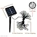 SOLVAO Solar Globe String Lights (30 LED) - Waterproof Outdoor Decorative Lighting for Your Patio, Garden, Deck, Umbrella or Camping Trip - Create an Inviting Warm White Atmosphere Powered by The Sun