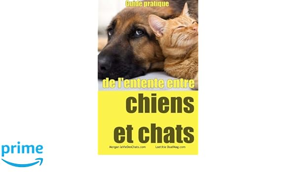 Guide Pratique De Lentente Entre Chiens Et Chats French