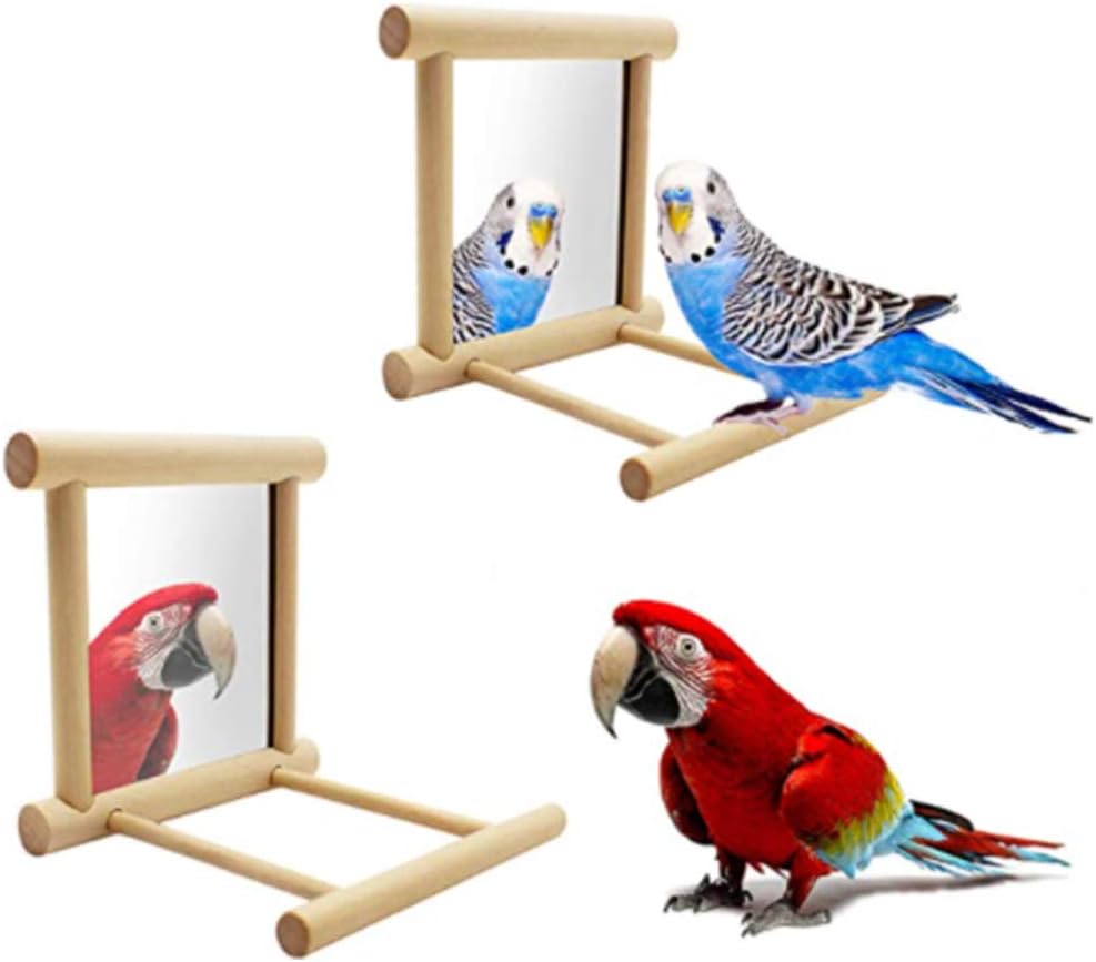 budgie swing with mirror