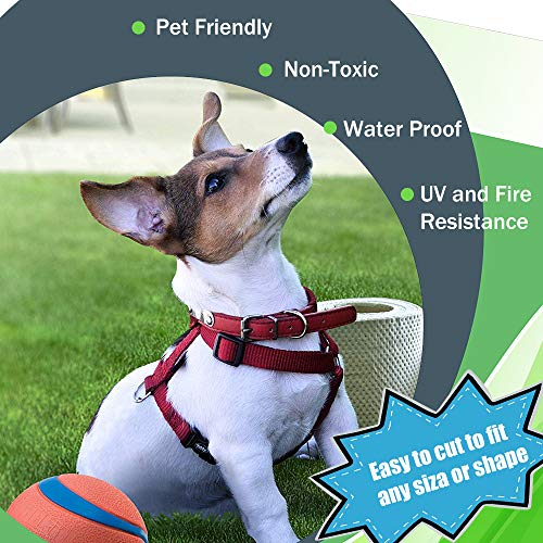 1 Petgrow+Artificial+Synthetic+4FTX4FT+Backyard