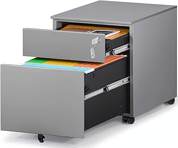Amazon Com Haiaojia 2 Drawer Mobile File Cabinet With Lock Metal Filing Cabinet For Legal Letter A4 F4 Size Fully Assembled Include Wheels Home Office Design Gray Office Products