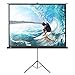 TaoTronics TT-HP019 Projector Screen with Stand, Indoor Movie Screen 100 Inch Diagonal 4:3 with Wrinkle-Free Design (Easy to Clean, 1.1 Gain, 160° Viewing Angle & Includes a Carry Bag)