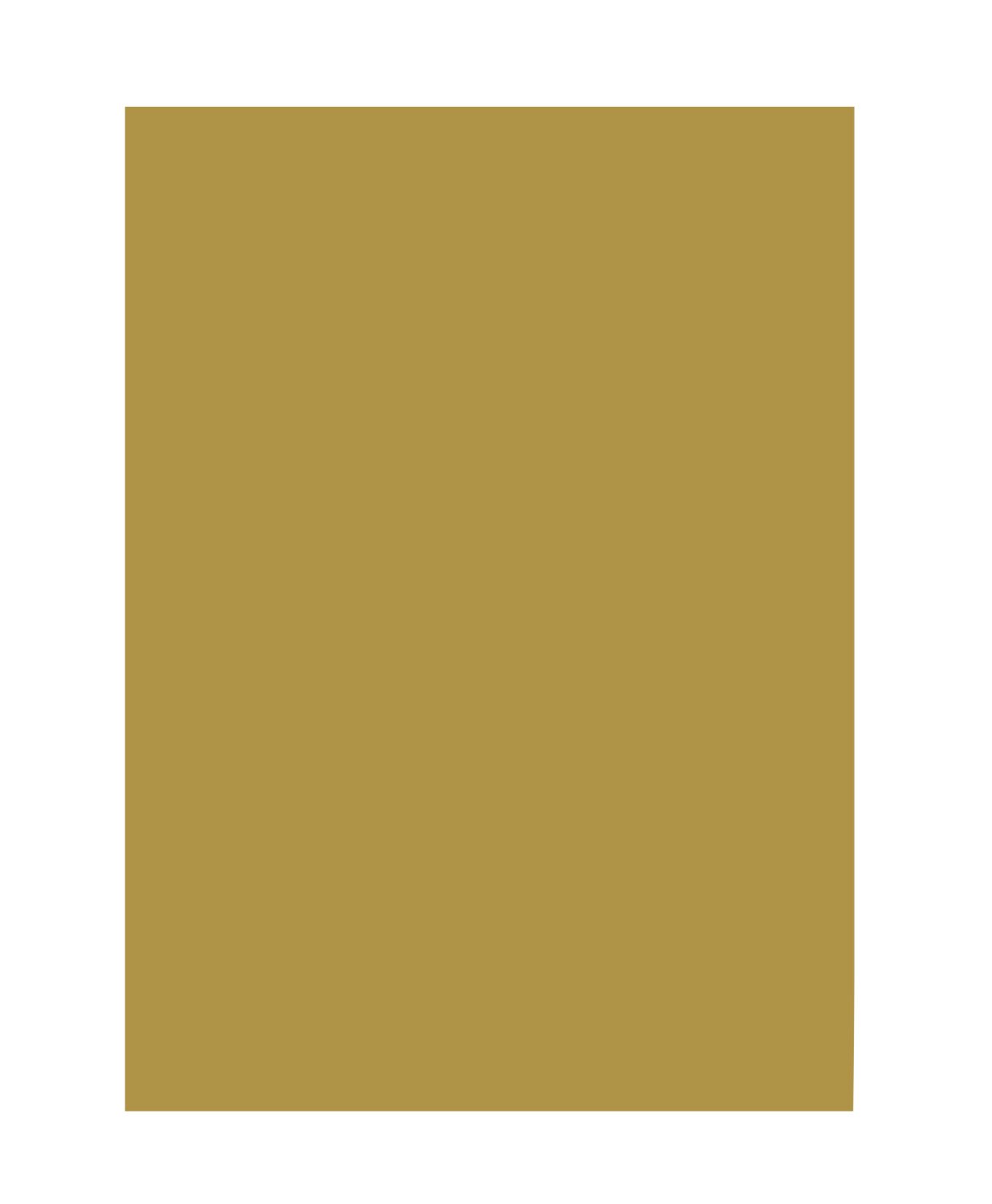 folia 6365 Coloured Paper Matt Gold DIN A3 130 g/m² 50 Sheets for Crafts and Creative Design of Cards, Window Pictures and Scrapbooking — image 1