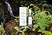 Jovovo Renew Antioxidant Face Serum – Toning Serum for Face to Hydrate & Tighten Skin – Face Toner Gel to Reduce Fine Lines and Wrinkles – Facial Skin Care Products w/Vitamin E & Witch Hazel (1.1 oz)