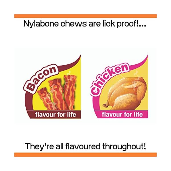 Nylabone Puppy Starter Kit, 3 Dental Dog Chew Bones, 1 Edible, 1 Gentle, 1 Extreme, for Small Breeds Puppies Up to 11 kg…