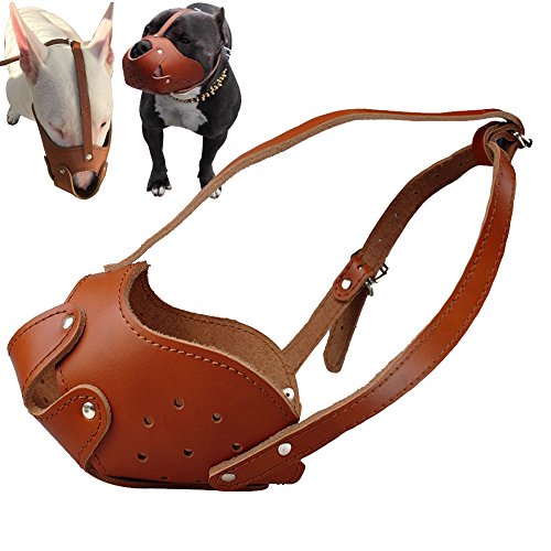 soft muzzle for staffy