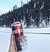 XYIENCE Energy Drink | Fruit Punch | Sugar Free | Zero Calories | Natural Flavors | Vitamin Fortified | 16 Ounce (Pack of 12)