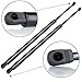 ECCPP Lift Support Liftgate Replacement Struts Gas Springs Fit For Chevrolet Trailblazer EXT 2002-2006,For GMC Envoy XL 2002-2006,For Isuzu Ascender 2003-2005 Set of 2