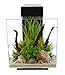 Fluval Edge 12-Gallon Aquarium with 42-LED Light, Black