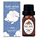 Cinnamon Bark 100% Pure Undiluted Organic Natural & Therapeutic Grade Essential oil For Aromatherapy Diffuser Health Skin and Relaxtion - 10ml - Morn Aroma
