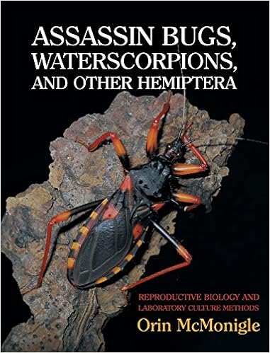 Assassin Bugs, Waterscorpions, and Other Hemiptera: Reproductive Biology and Laboratory Culture Methods, by Orin McMonigle Assassin Bugs, Waterscorpions, and Other Hemiptera: Reproductive Biology and Laboratory Culture Methods, by Orin McMonigle