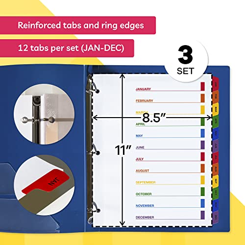 Monthly Dividers for 3 Ring Binder (Set of 3 x 12 Tab Dividers for 3