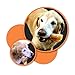 Natural Rapport Beef Trachea Dog Treats - The Only Beef Trachea Chews Dogs Need - All Natural Dog Treats for Small and Large Dogs (3 Chews)