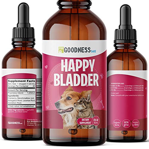 Cranberry Supplements for Dog UTI Cranberry Extract Dog Chews with