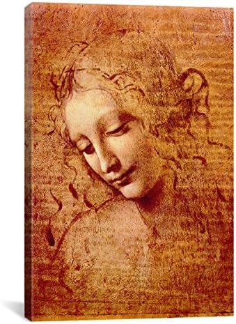 iCanvas Leonardo Da Vinci 'Female Head' Canvas Wall Art