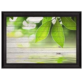 Leaf Branches at The Top Over Green Wooden...