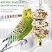 Small Bird Swing Toys, 8 Pieces Parrots Chewing Natural Wood and Rope Bungee Bird Toy for Anchovies, Parakeets, Cockatiel, Conure, Mynah, Macow and Other Small Birds