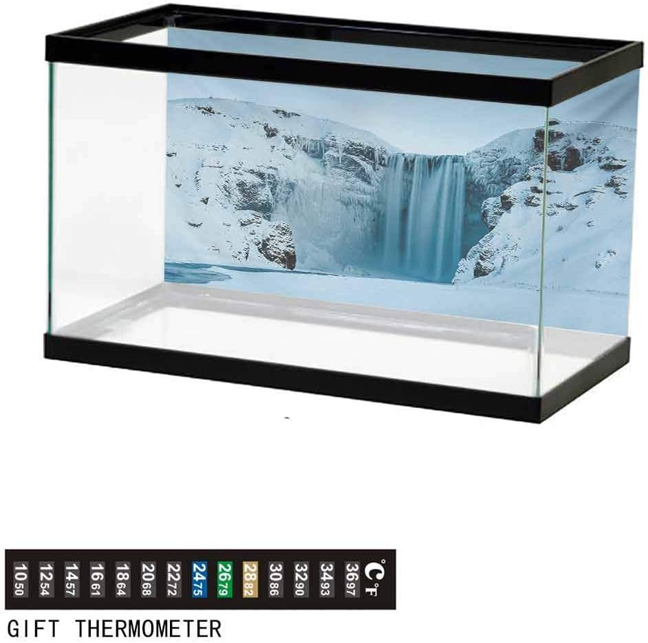 frozen fish tank