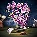 Imiee Artificial Phaleanopsis Arrangement with Vase Decorative Orchid Flower Bonsai (Light Purple)