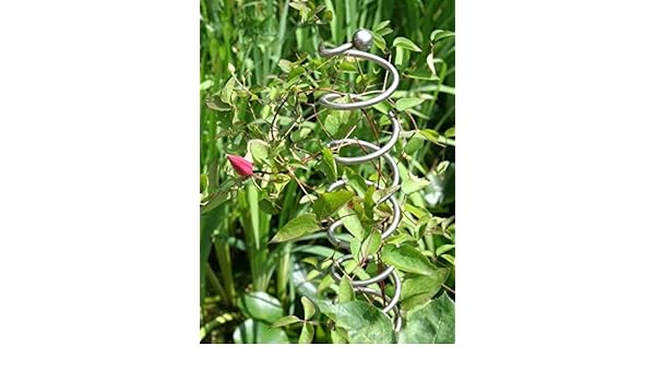 BlackOrange - Varilla para Enredaderas con Bola (Forma de Espiral ...