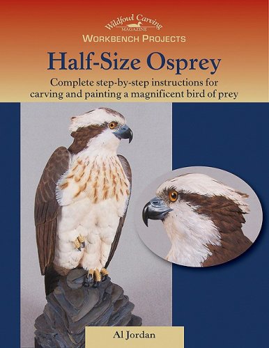 Workbench Projects: Half-Size Osprey by 