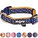 Blueberry Pet 6 Patterns Multicolor Polka Dot Neoprene Padded Adjustable Dog Collar in Passion Orange, Large, Neck 18