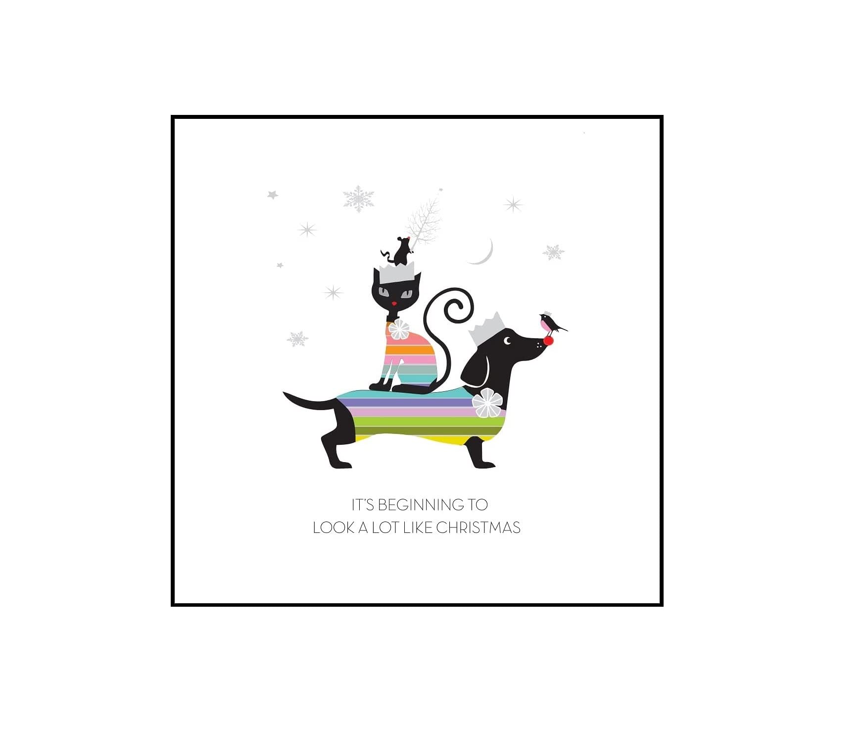 Five Dollar Shake Christmas Pop - Cello 6 Pack Range (CPOP10) - It's Beginning to look a lot like Christmas