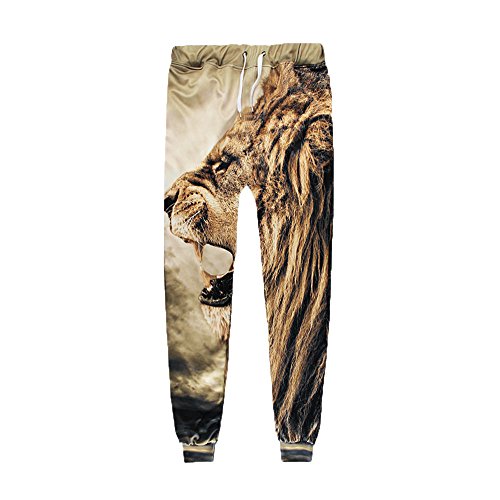 Clearance! Unisex Novelty 3D Digital Print Sports Jogger Track Pants Sweatpants Trousers for Men Women (H, XL)