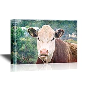 Canvas Wall Art - Cow in Wild - Gallery Wrap Modern Home Art | Ready to Hang - 12x18 inches