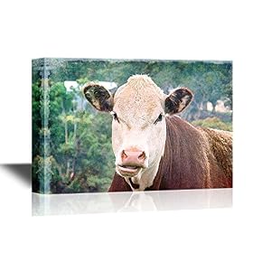 Cow in Wild